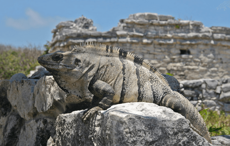 tulum